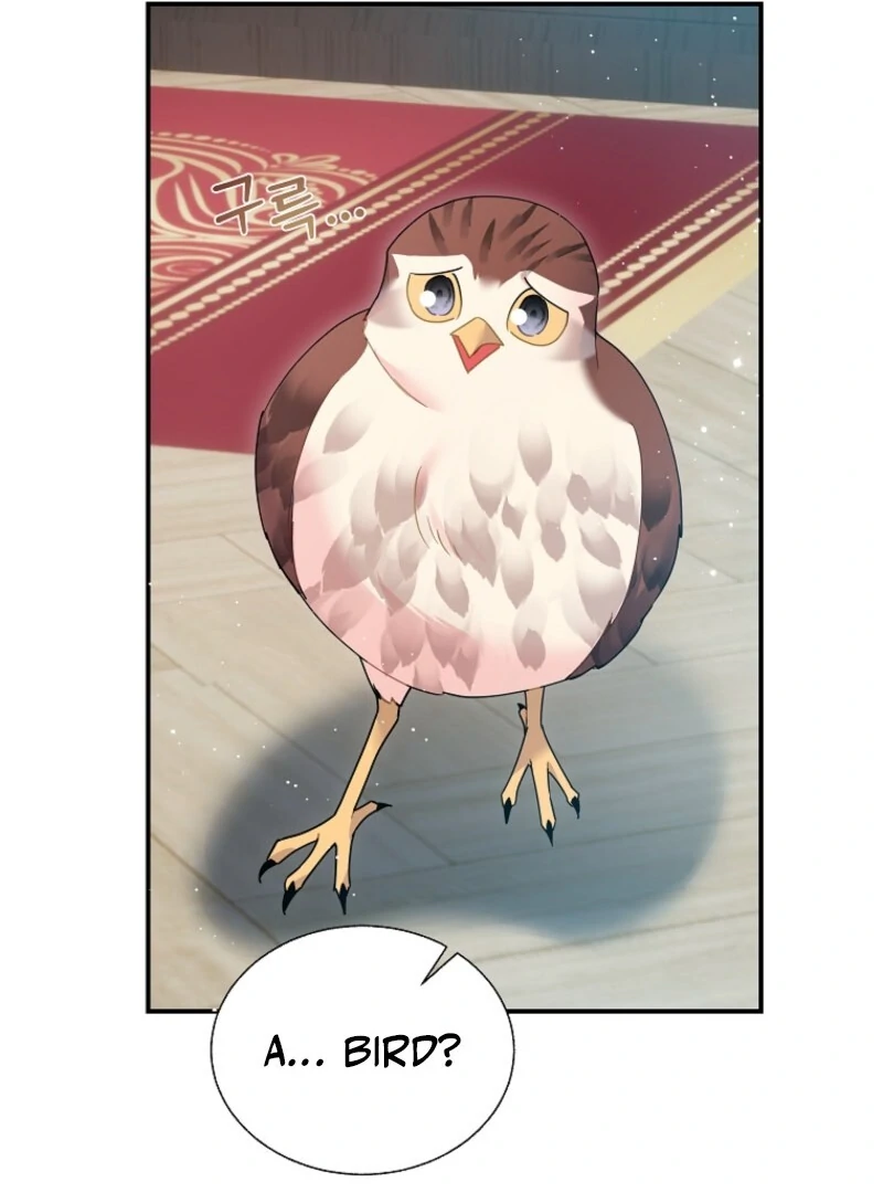 Read Cavier Falcon Princess chapter 145 image 42 on Lezhin