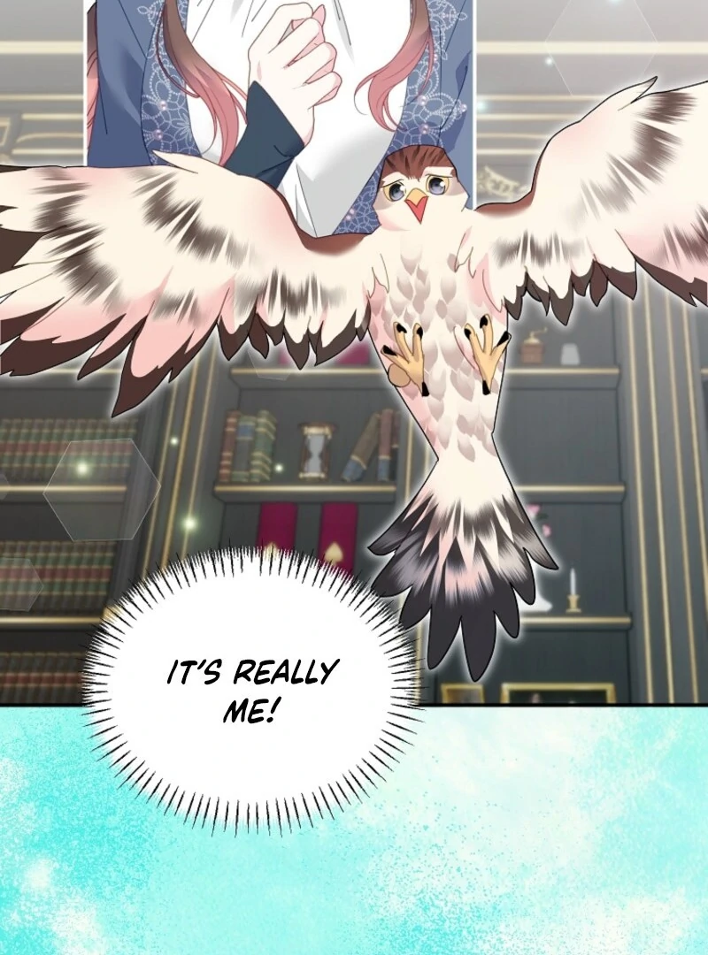 Read Cavier Falcon Princess chapter 145 image 51 on Lezhin
