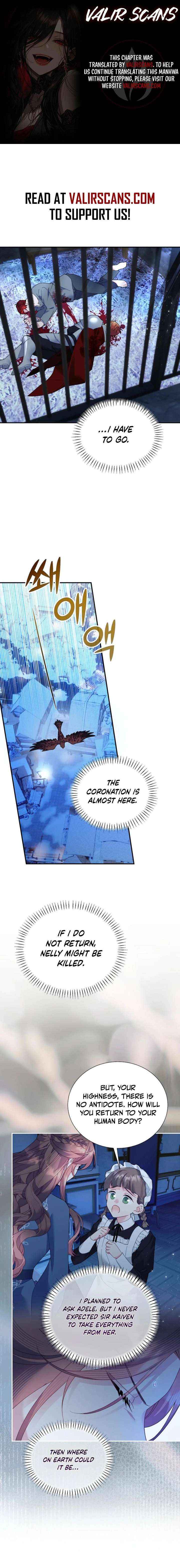 Read Cavier Falcon Princess chapter 149 image 1 on Lezhin