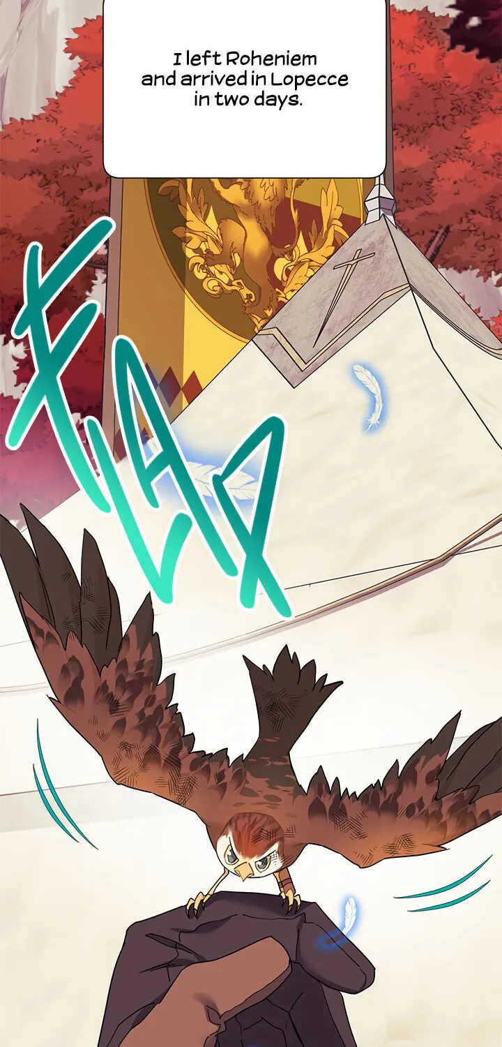Read Cavier Falcon Princess chapter 15 image 1 on Lezhin