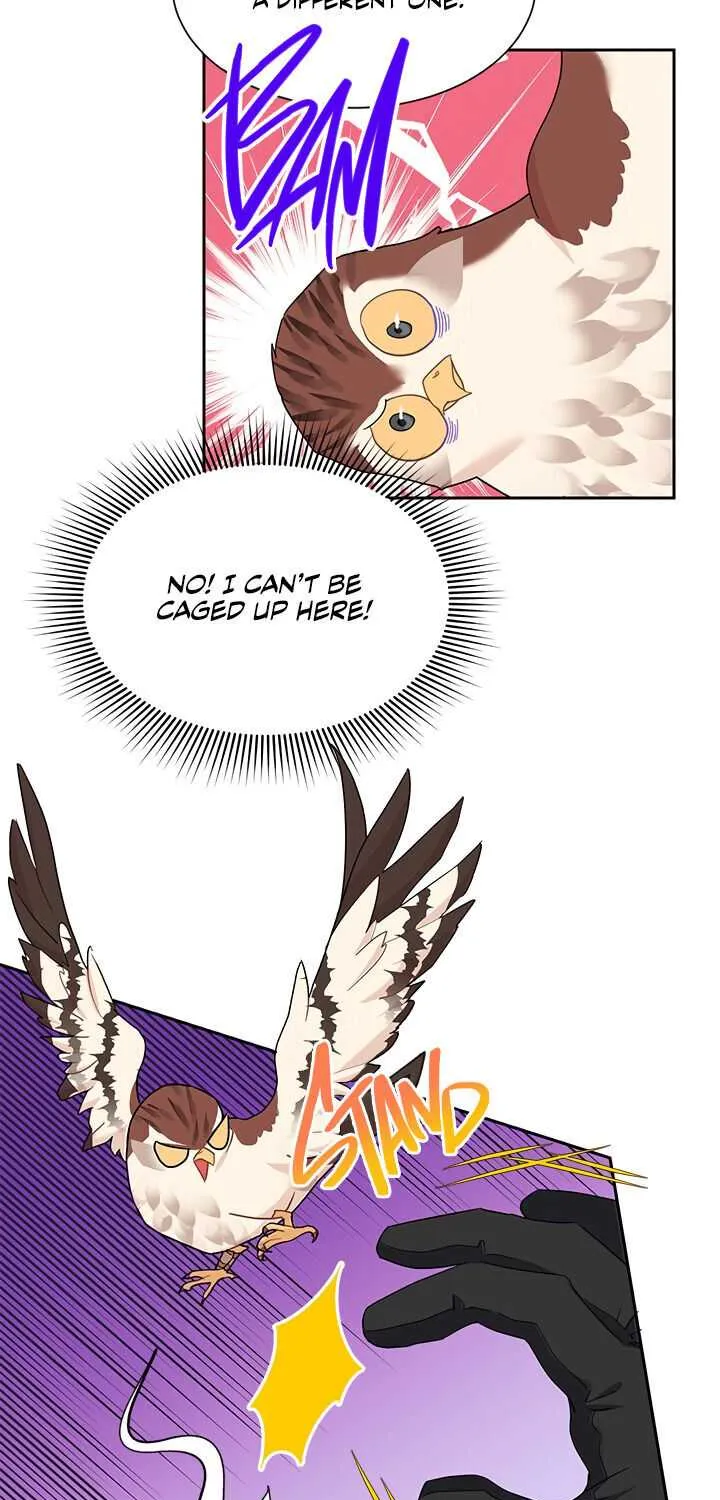 Read Cavier Falcon Princess chapter 15 image 27 on Lezhin