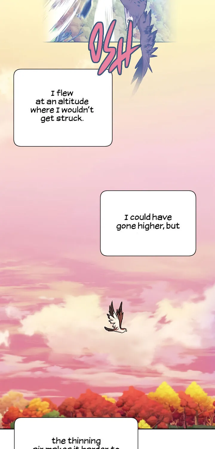 Read Cavier Falcon Princess chapter 15 image 37 on Lezhin