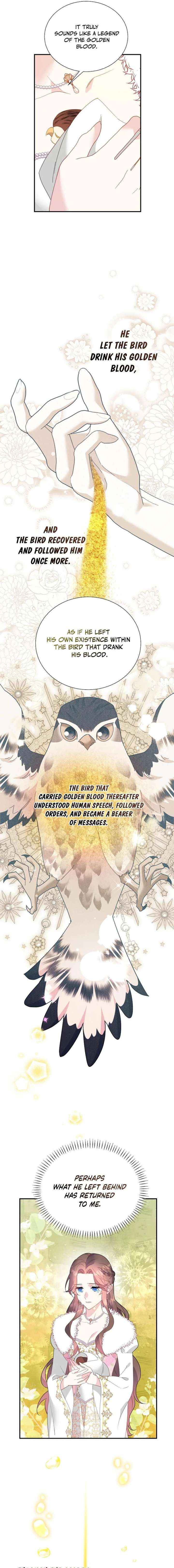 Read Cavier Falcon Princess chapter 152 image 14 on Lezhin