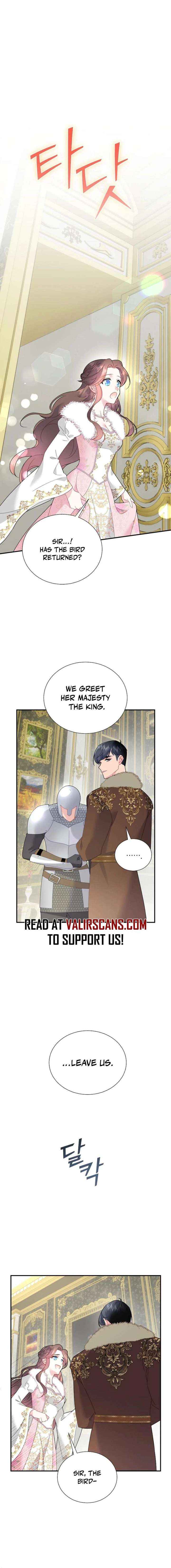 Read Cavier Falcon Princess chapter 152 image 7 on Lezhin
