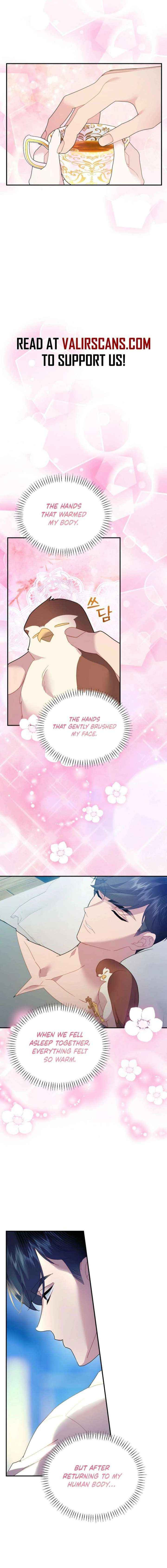 Read Cavier Falcon Princess chapter 154 image 11 on Lezhin