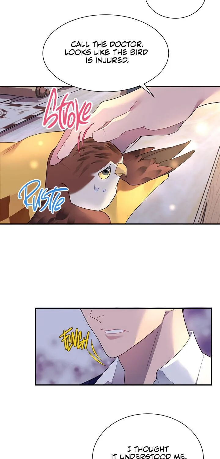 Read Cavier Falcon Princess chapter 16 image 47 on Lezhin