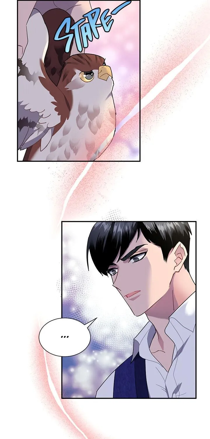 Read Cavier Falcon Princess chapter 17 image 1 on Lezhin