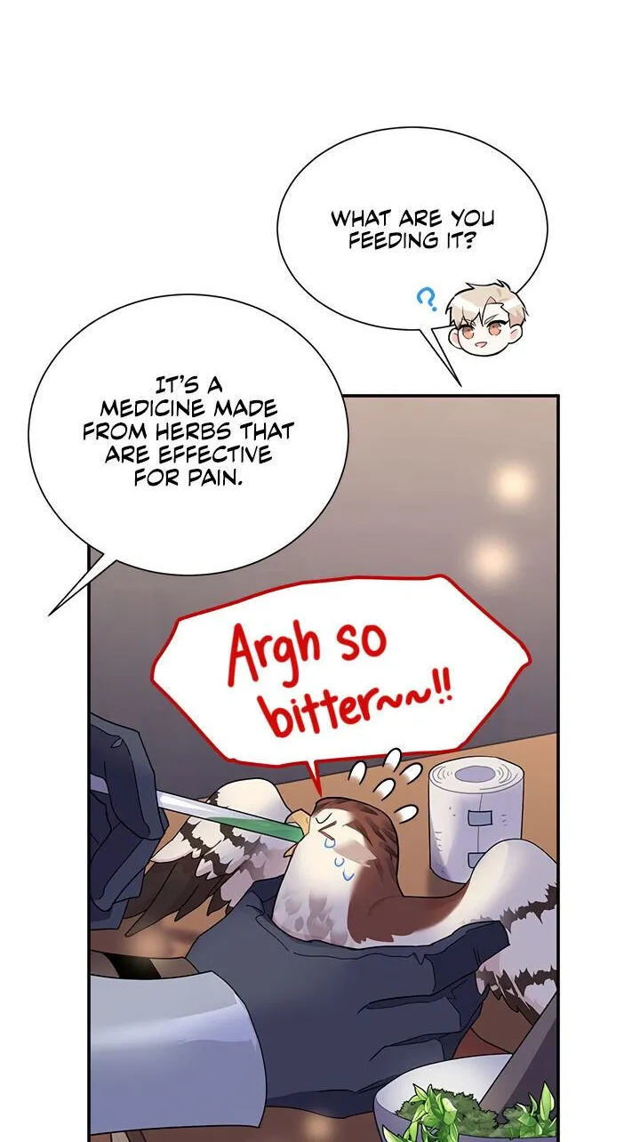 Read Cavier Falcon Princess chapter 17 image 11 on Lezhin