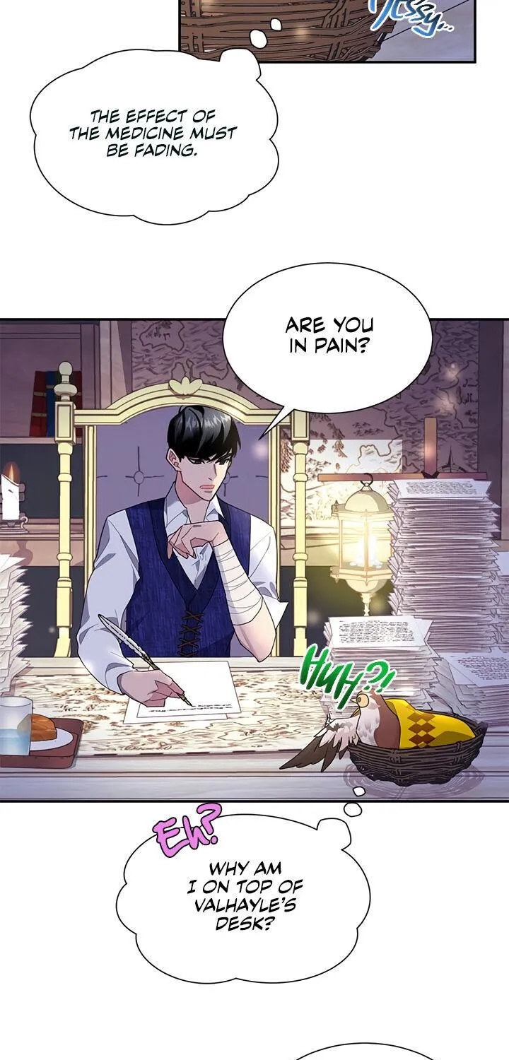Read Cavier Falcon Princess chapter 17 image 20 on Lezhin