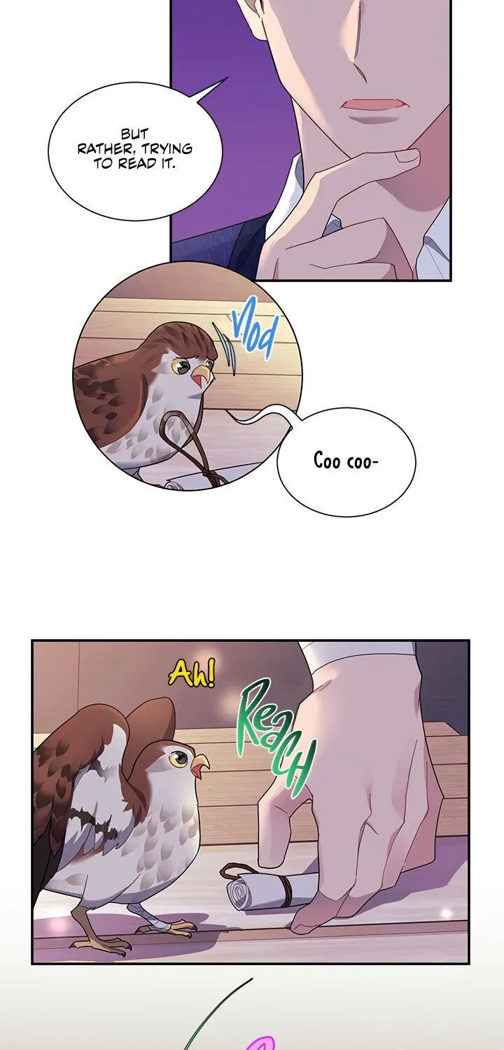 Read Cavier Falcon Princess chapter 17 image 3 on Lezhin