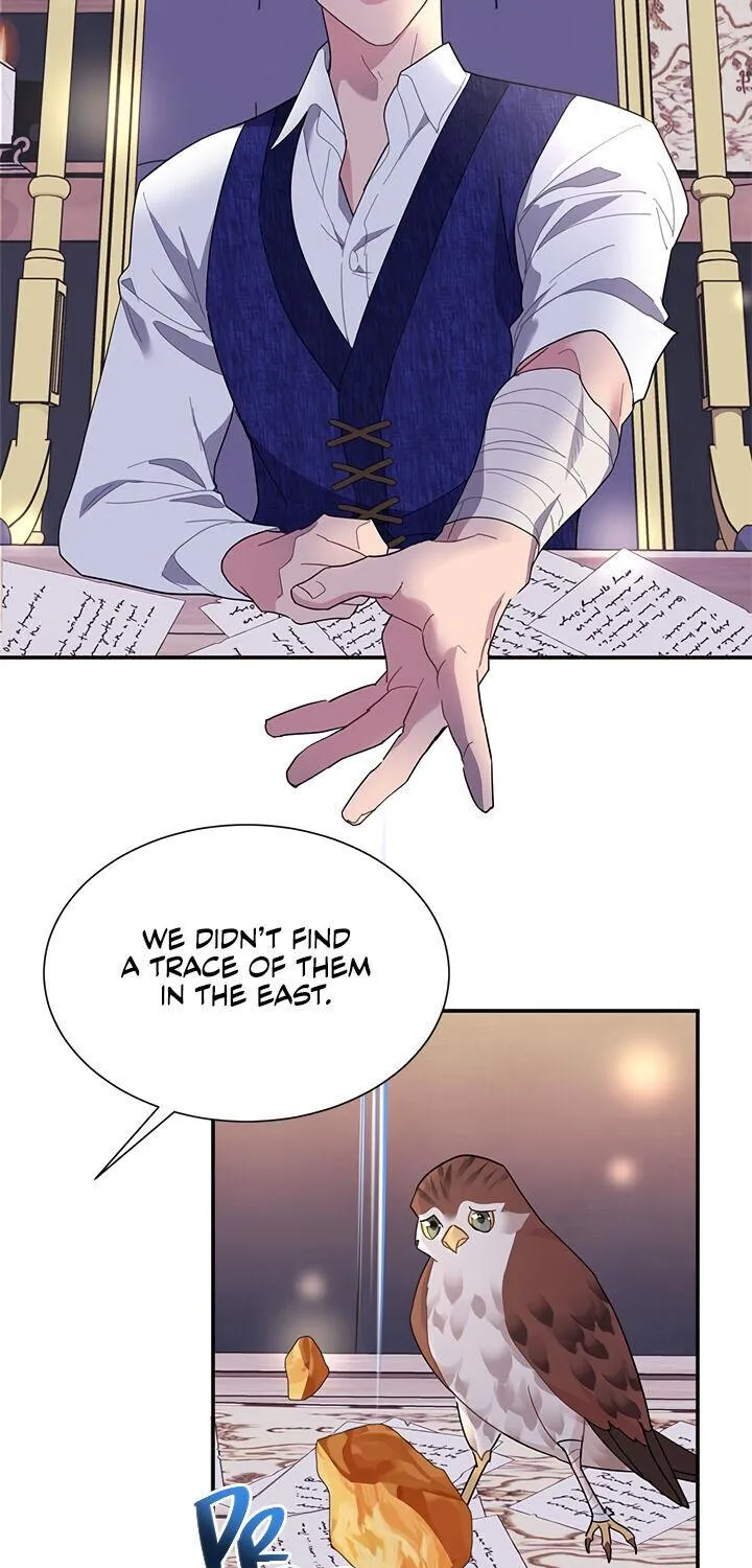 Read Cavier Falcon Princess chapter 17 image 44 on Lezhin