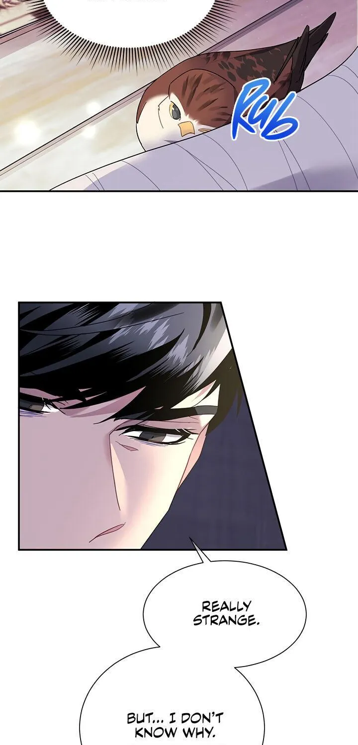 Read Cavier Falcon Princess chapter 17 image 56 on Lezhin