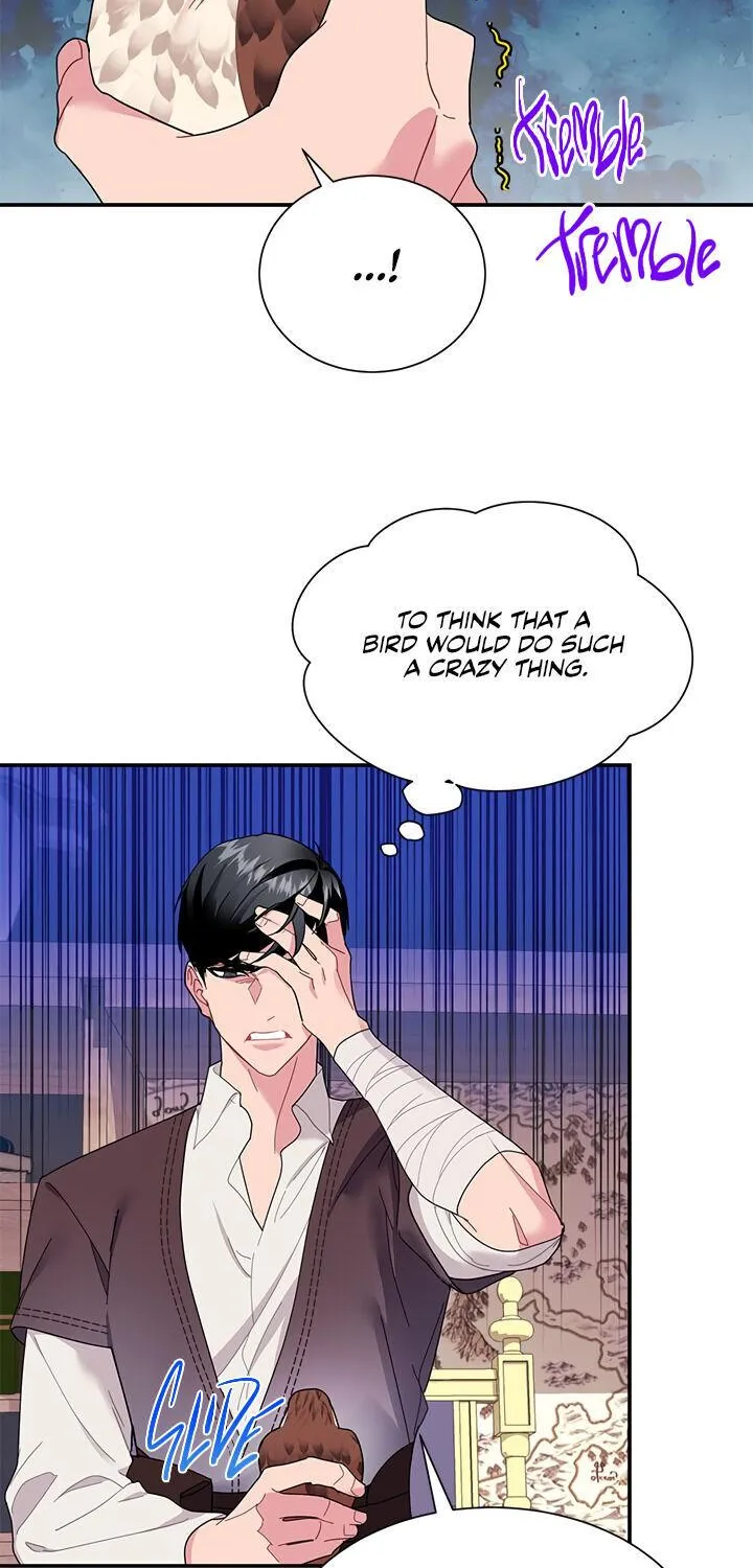 Read Cavier Falcon Princess chapter 18 image 20 on Lezhin
