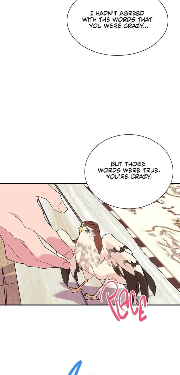 Read Cavier Falcon Princess chapter 18 image 21 on Lezhin