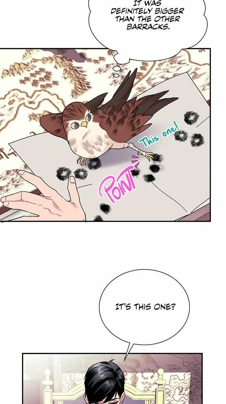 Read Cavier Falcon Princess chapter 18 image 30 on Lezhin