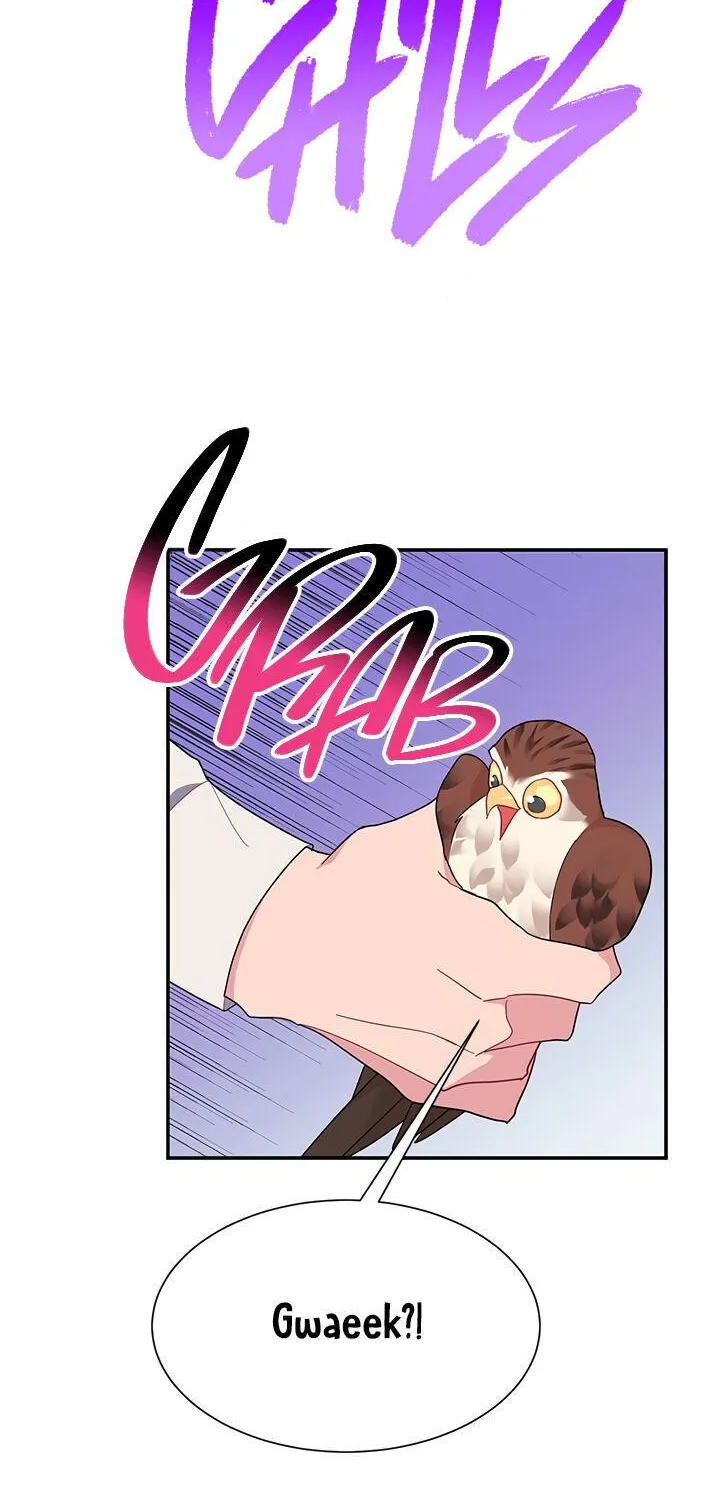 Read Cavier Falcon Princess chapter 18 image 40 on Lezhin