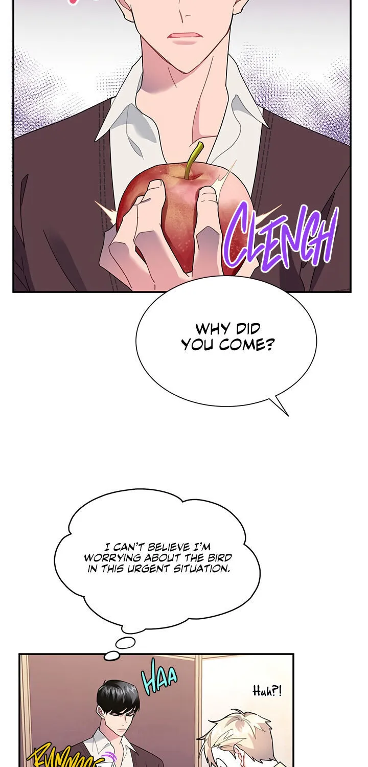 Read Cavier Falcon Princess chapter 19 image 11 on Lezhin