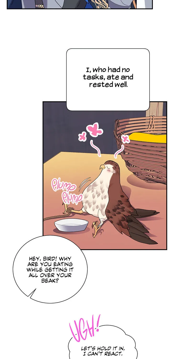 Read Cavier Falcon Princess chapter 19 image 30 on Lezhin