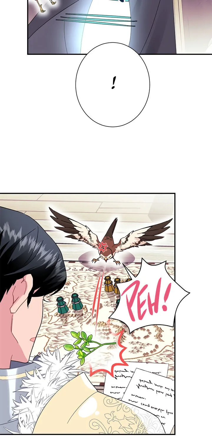 Read Cavier Falcon Princess chapter 19 image 58 on Lezhin