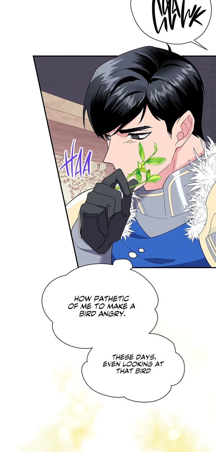 Read Cavier Falcon Princess chapter 19 image 63 on Lezhin