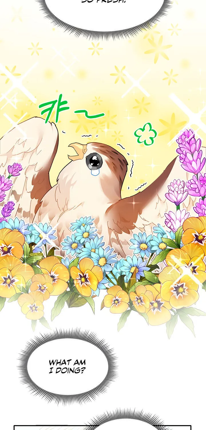 Read Cavier Falcon Princess chapter 2 image 1 on Lezhin