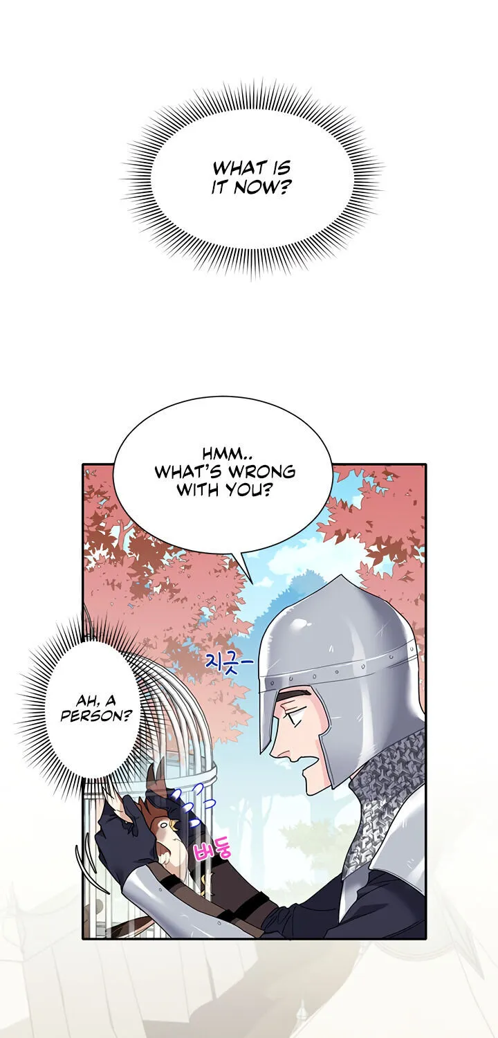 Read Cavier Falcon Princess chapter 2 image 10 on Lezhin