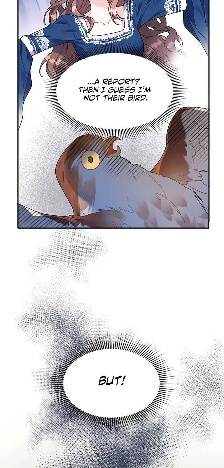 Read Cavier Falcon Princess chapter 2 image 12 on Lezhin