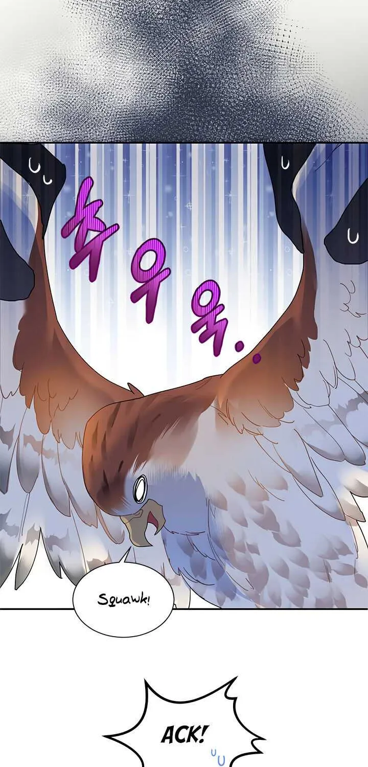 Read Cavier Falcon Princess chapter 2 image 13 on Lezhin