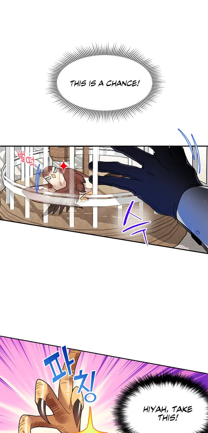 Read Cavier Falcon Princess chapter 2 image 15 on Lezhin