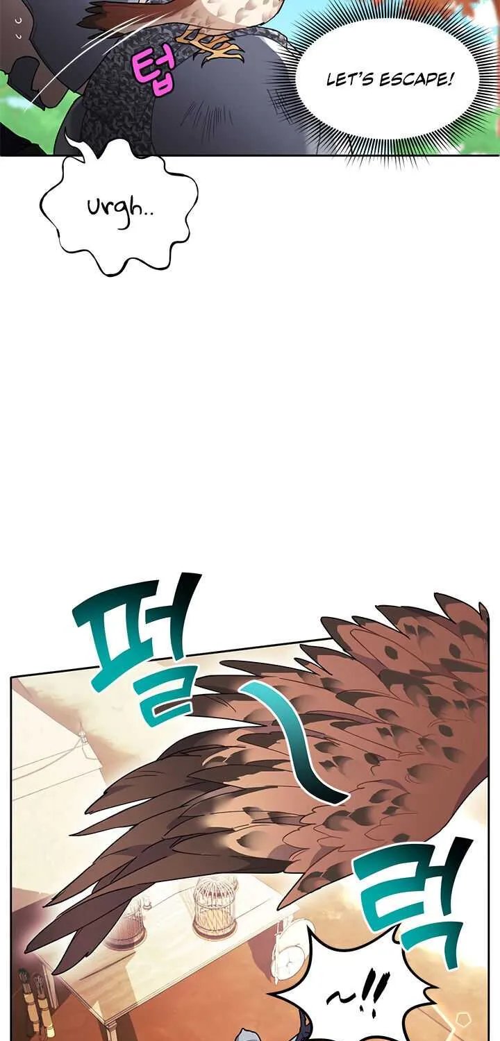 Read Cavier Falcon Princess chapter 2 image 17 on Lezhin