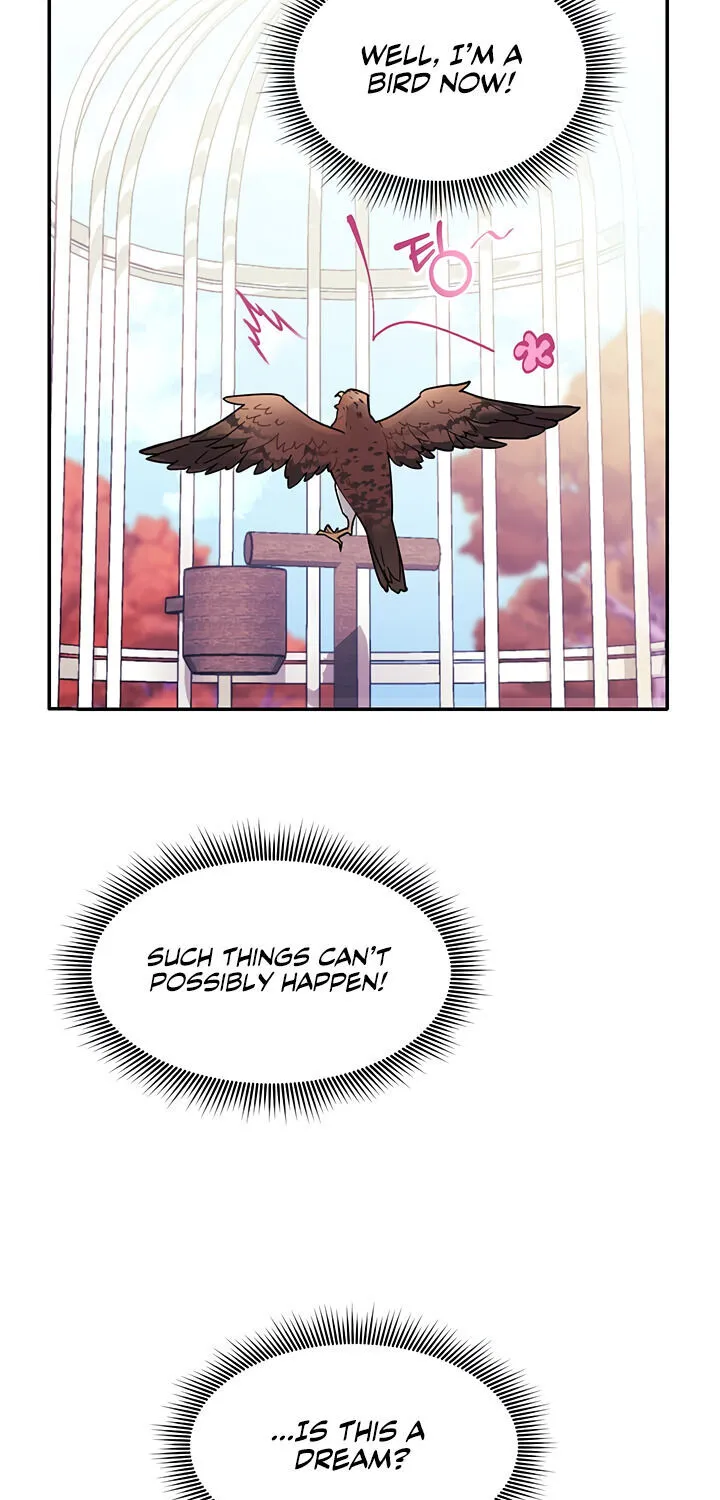 Read Cavier Falcon Princess chapter 2 image 2 on Lezhin