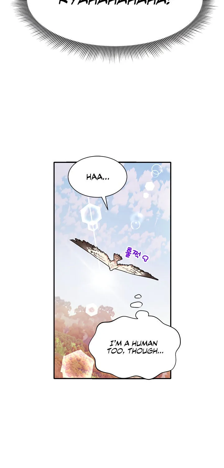 Read Cavier Falcon Princess chapter 2 image 23 on Lezhin