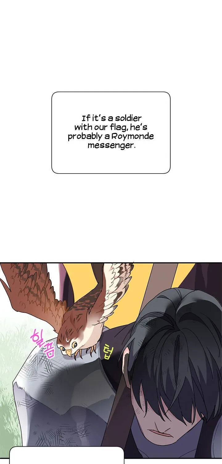 Read Cavier Falcon Princess chapter 2 image 36 on Lezhin