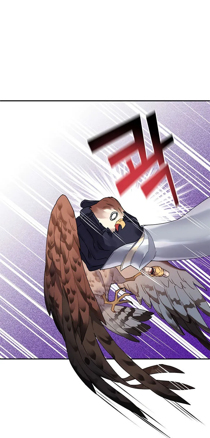 Read Cavier Falcon Princess chapter 2 image 59 on Lezhin