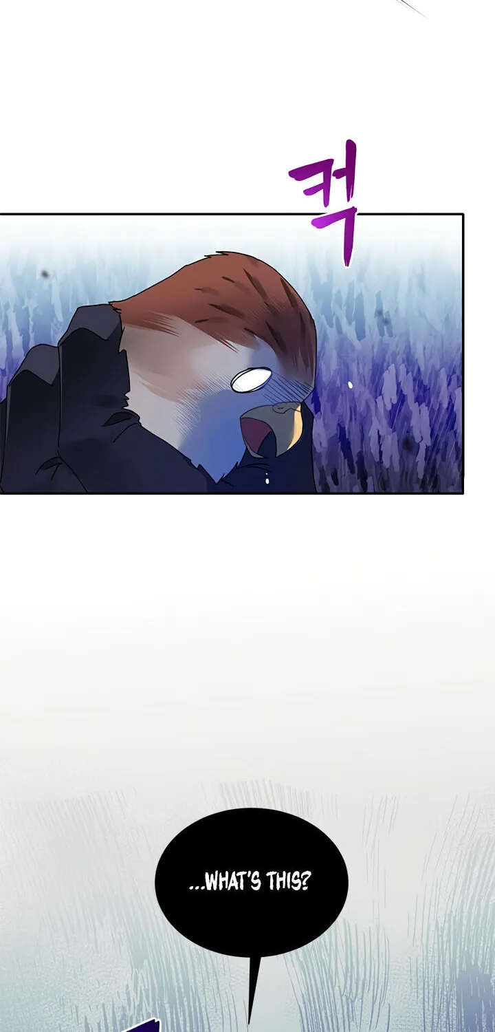Read Cavier Falcon Princess chapter 2 image 60 on Lezhin