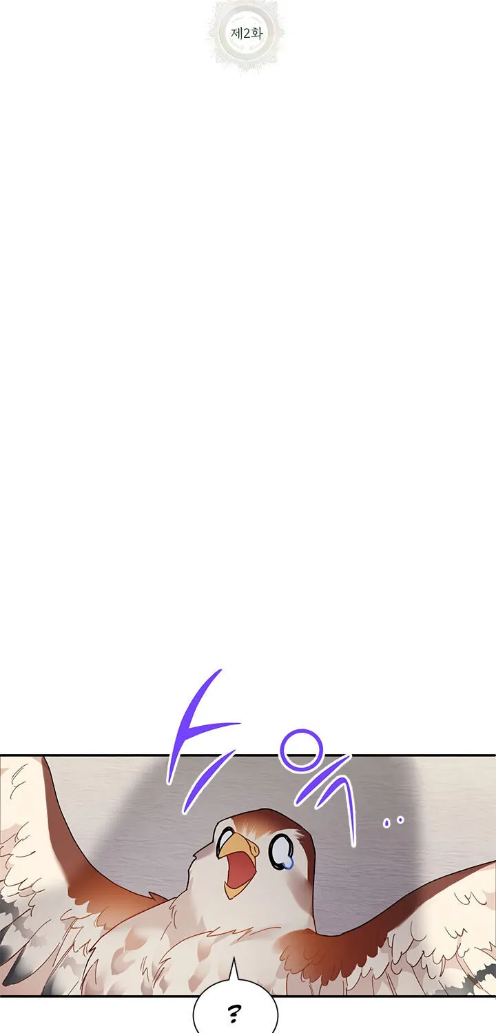 Read Cavier Falcon Princess chapter 2 image 8 on Lezhin
