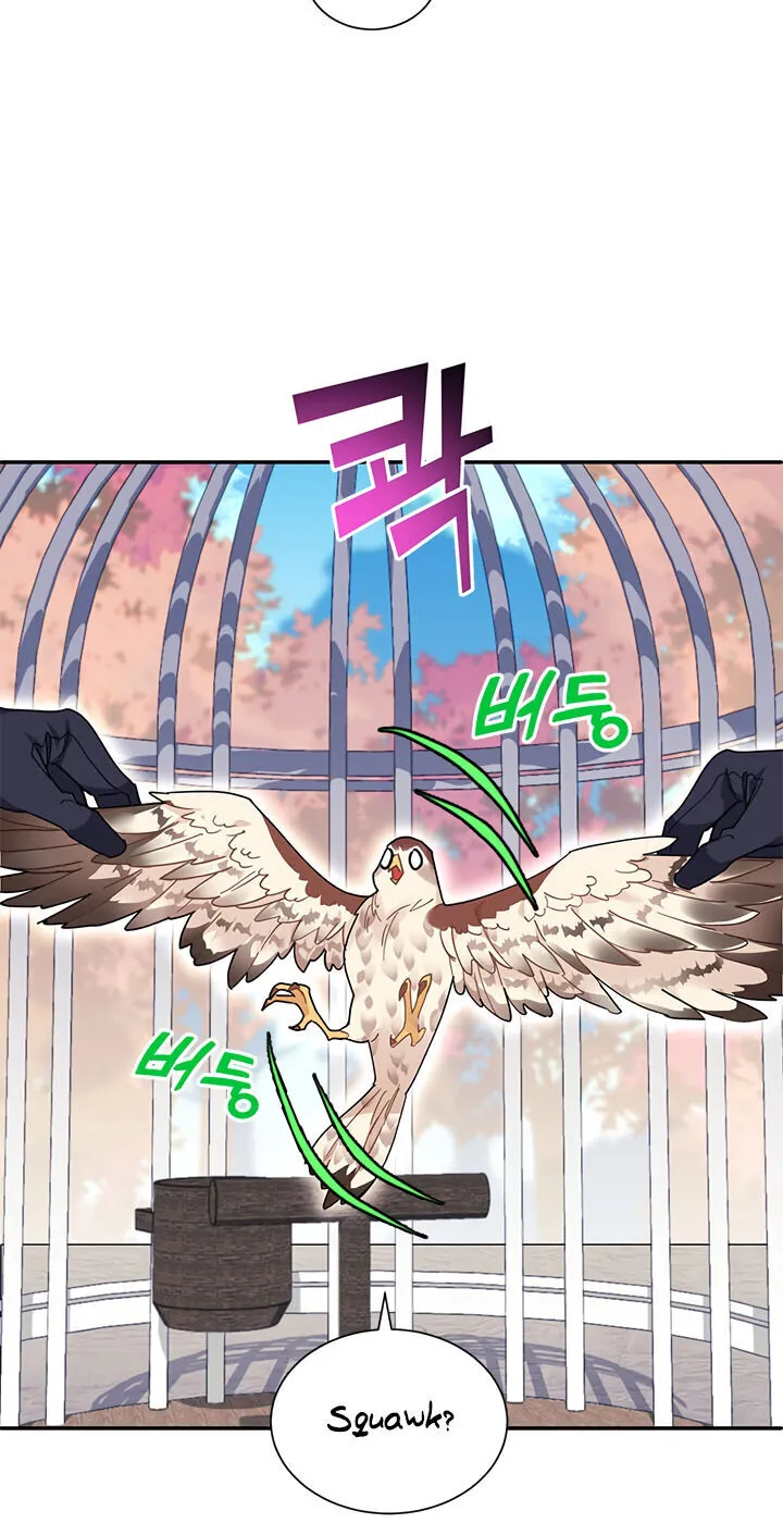 Read Cavier Falcon Princess chapter 2 image 9 on Lezhin