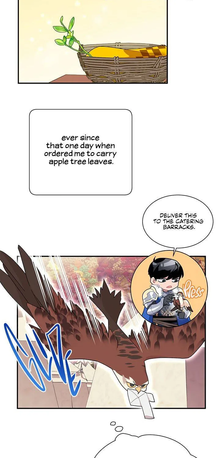 Read Cavier Falcon Princess chapter 20 image 1 on Lezhin