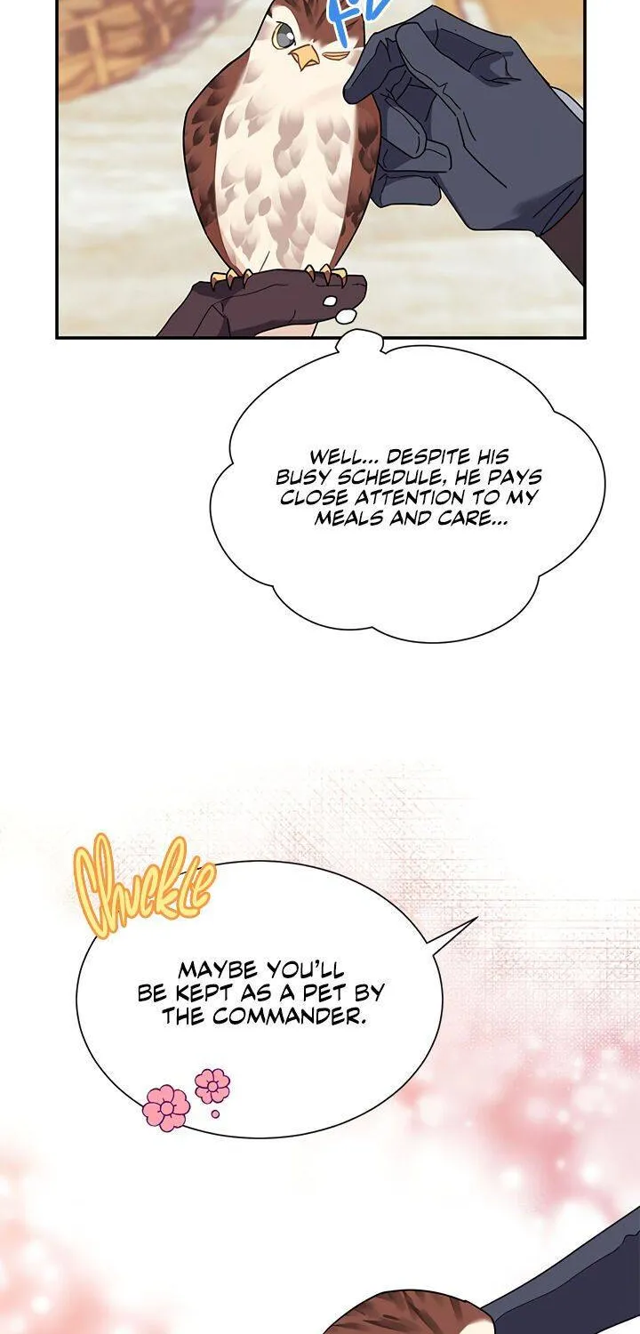 Read Cavier Falcon Princess chapter 20 image 10 on Lezhin