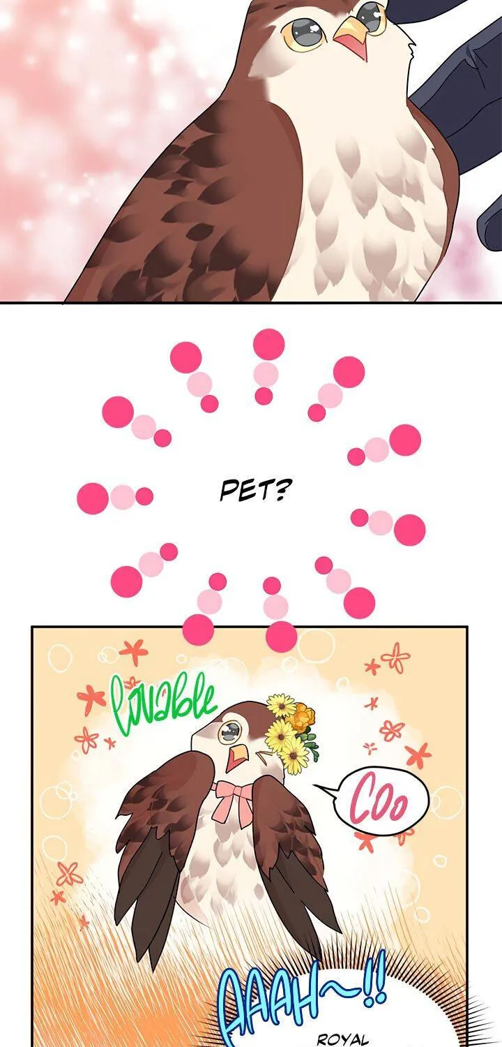 Read Cavier Falcon Princess chapter 20 image 11 on Lezhin