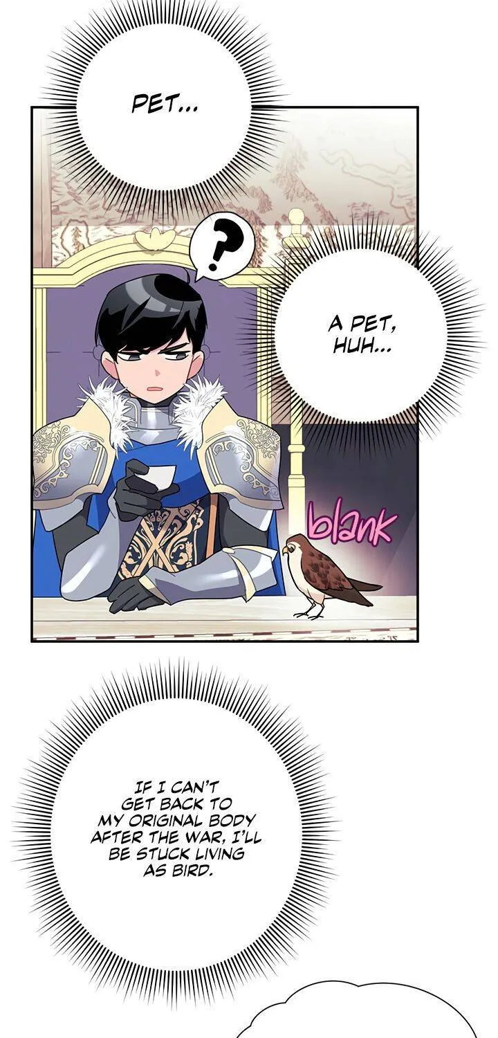 Read Cavier Falcon Princess chapter 20 image 16 on Lezhin