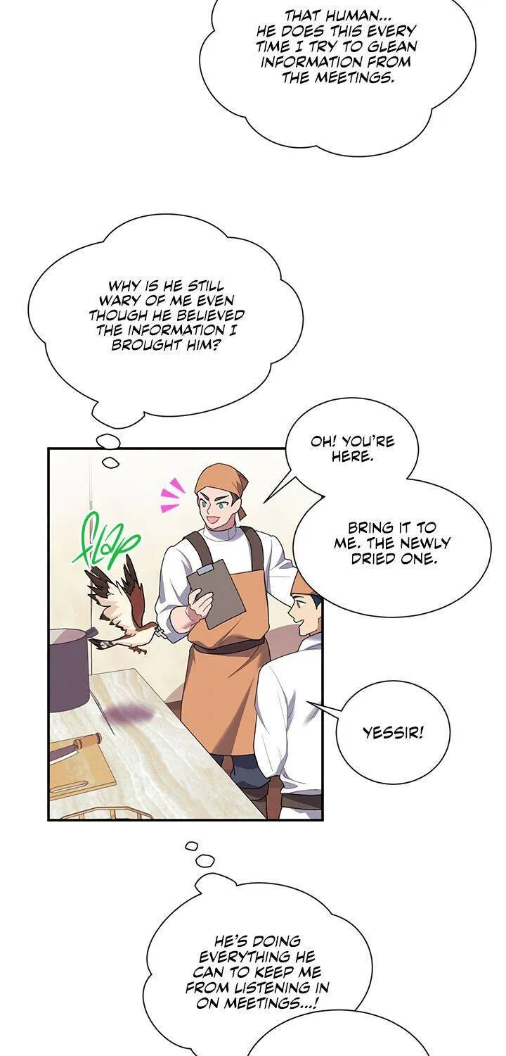 Read Cavier Falcon Princess chapter 20 image 2 on Lezhin