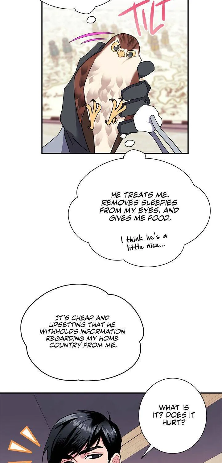 Read Cavier Falcon Princess chapter 20 image 21 on Lezhin