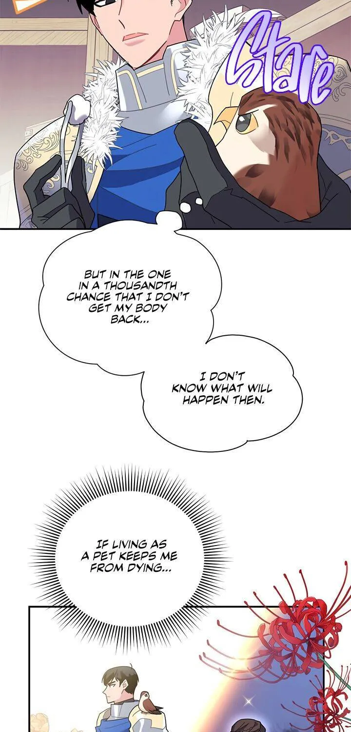 Read Cavier Falcon Princess chapter 20 image 22 on Lezhin