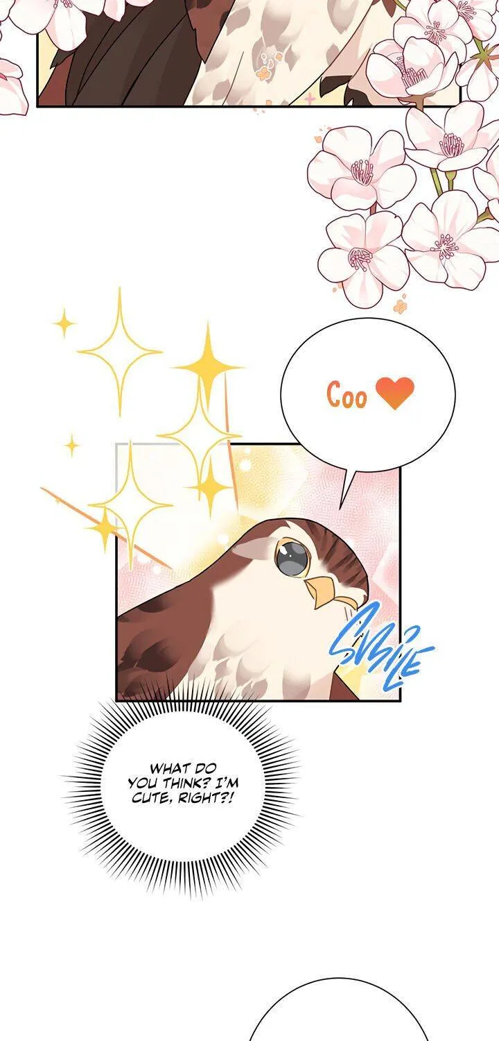 Read Cavier Falcon Princess chapter 20 image 31 on Lezhin