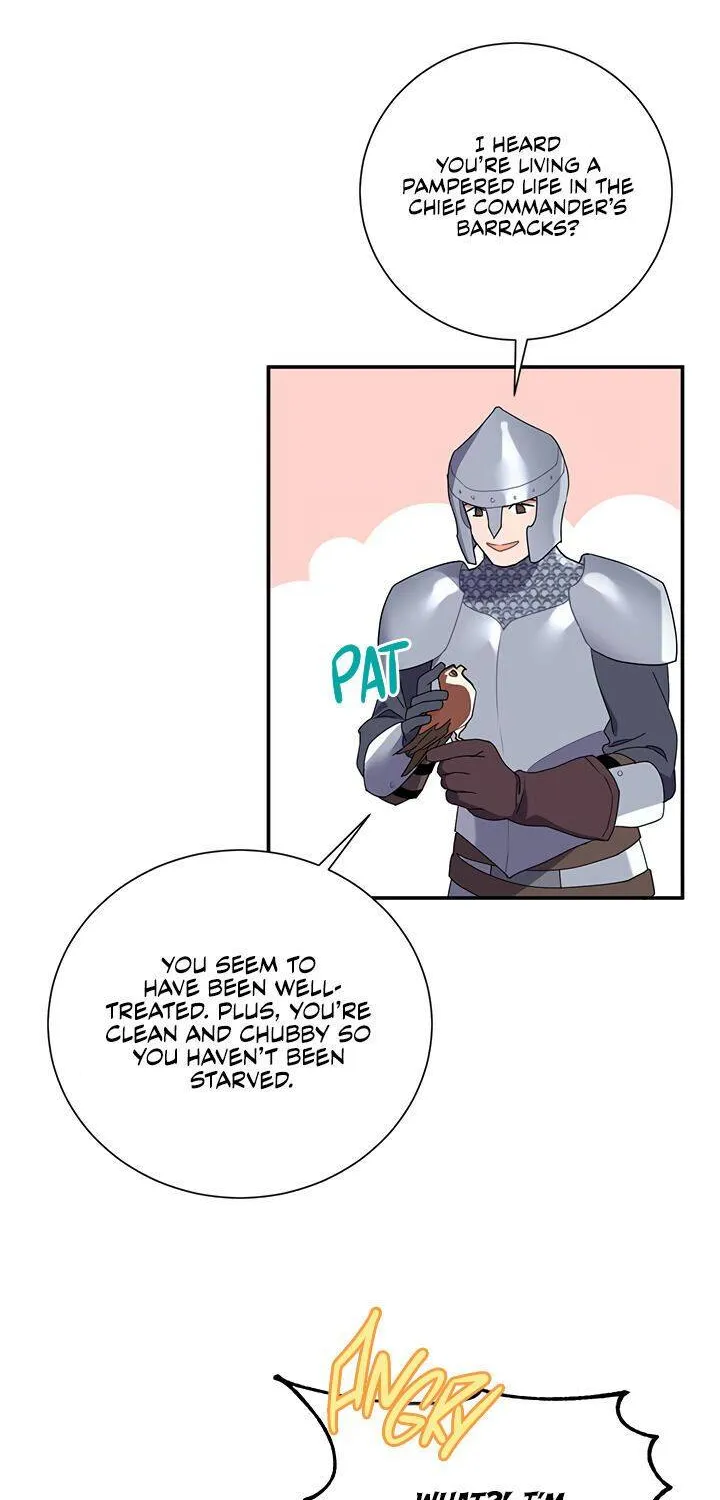 Read Cavier Falcon Princess chapter 20 image 5 on Lezhin