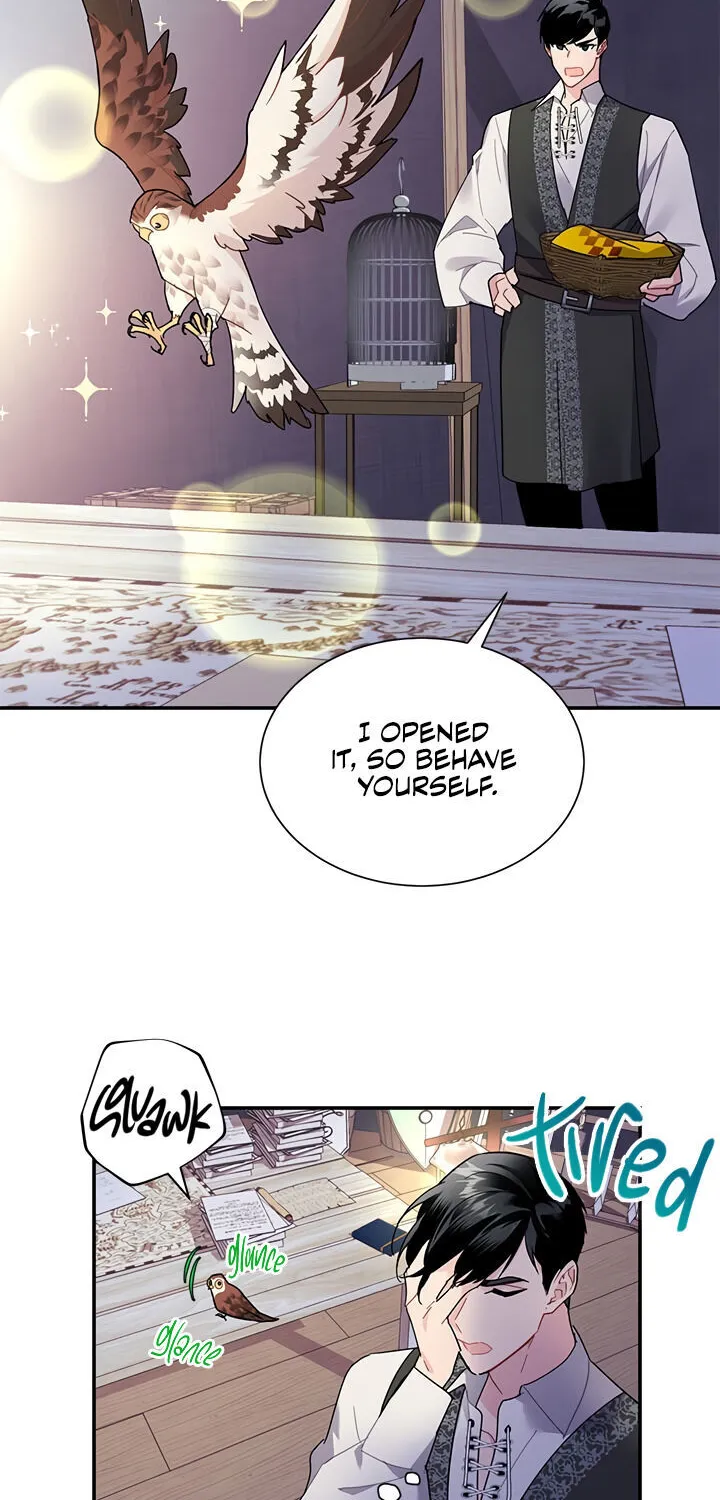 Read Cavier Falcon Princess chapter 21 image 3 on Lezhin