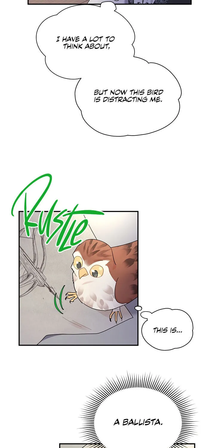 Read Cavier Falcon Princess chapter 21 image 4 on Lezhin