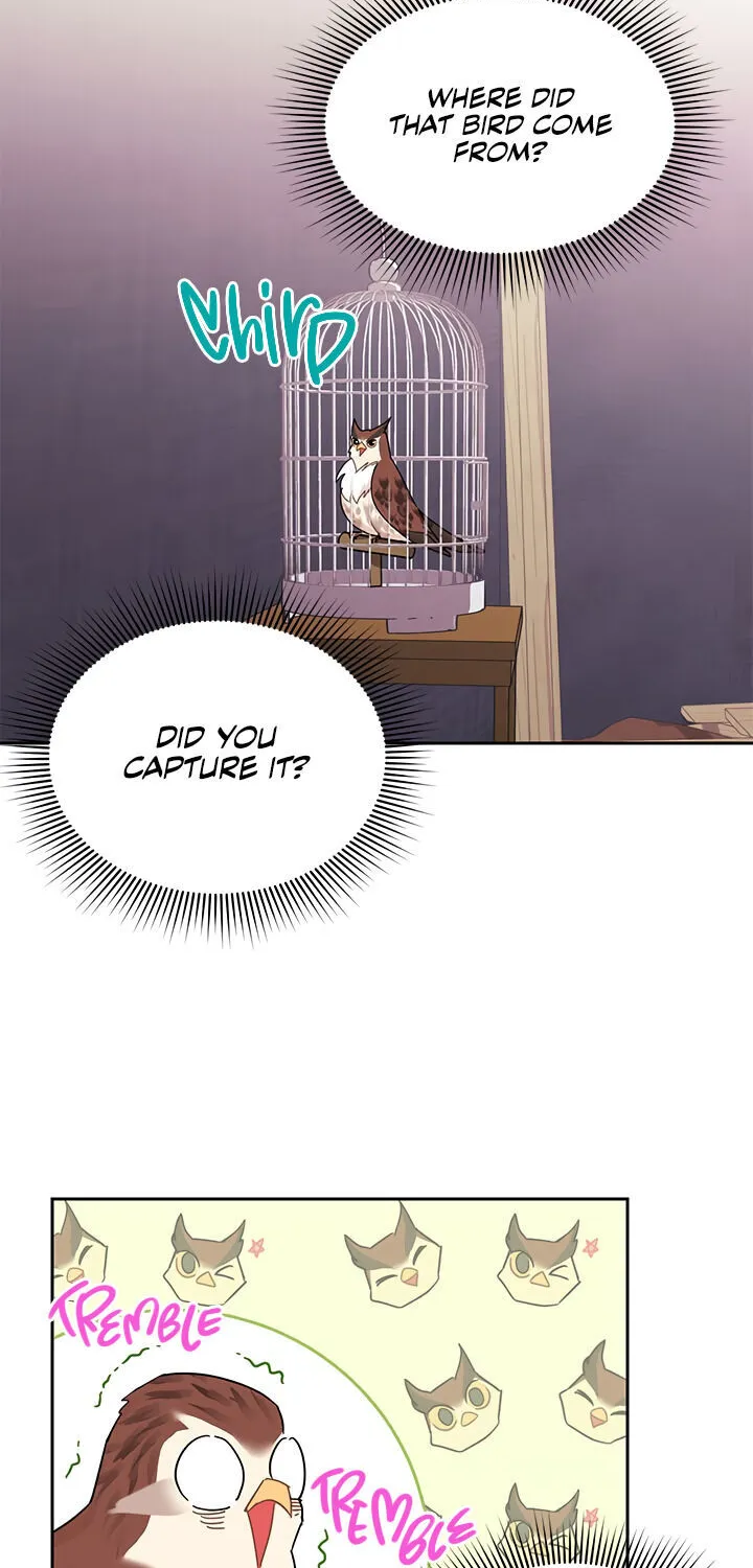 Read Cavier Falcon Princess chapter 23 image 1 on Lezhin