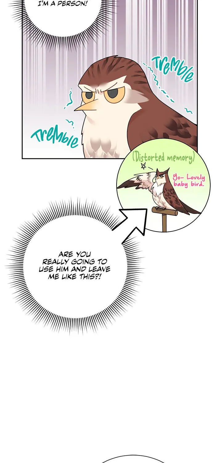 Read Cavier Falcon Princess chapter 23 image 10 on Lezhin